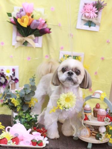 20230312ちょびくん